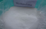 Steroide anabolizzante di 99% per la polvere bianca CAS dell'asso di Mestanolone di guadagno del muscolo:  521-11-9